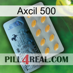 Axcil 500 44